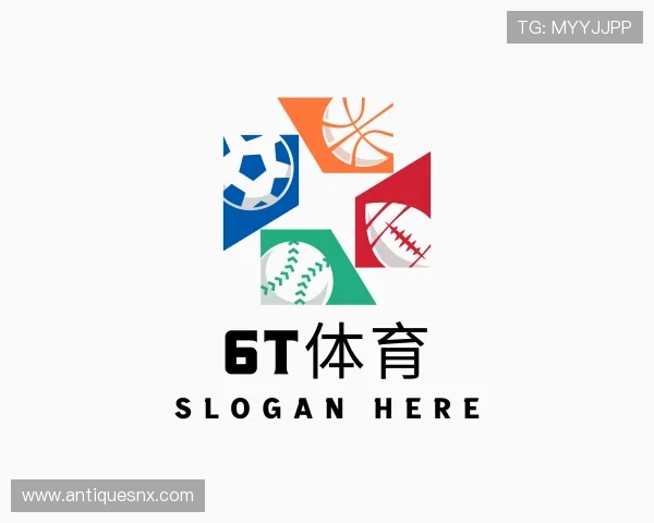 介绍6t体育